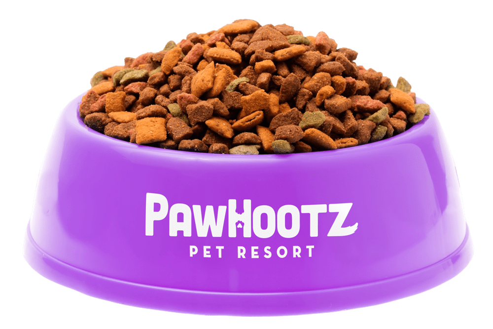 Pawhootz Purple food bowl
