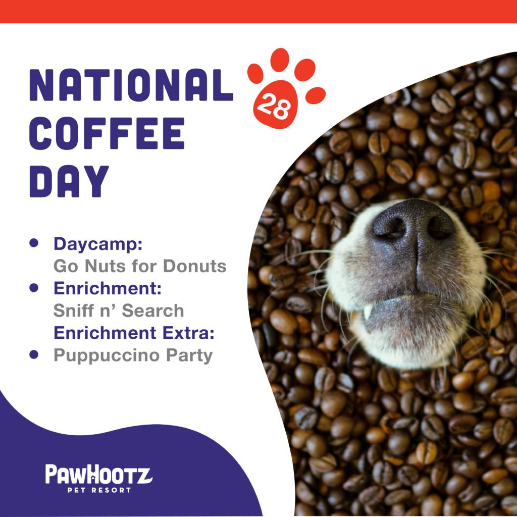 national coffee day pawhootz