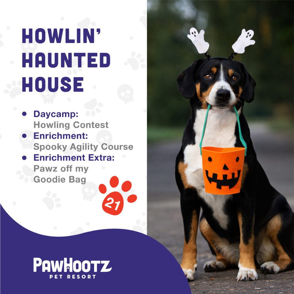 pawhootz howlin haunted house