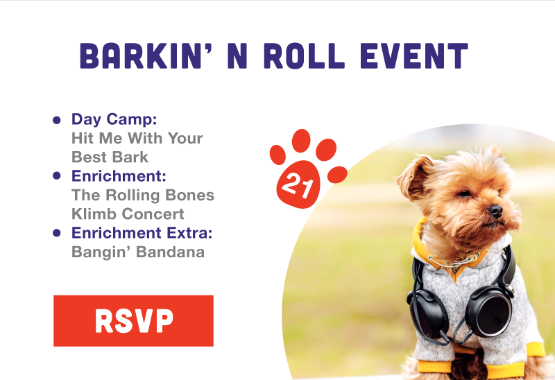 Barkin' n Roll Event Paw Hootz Event