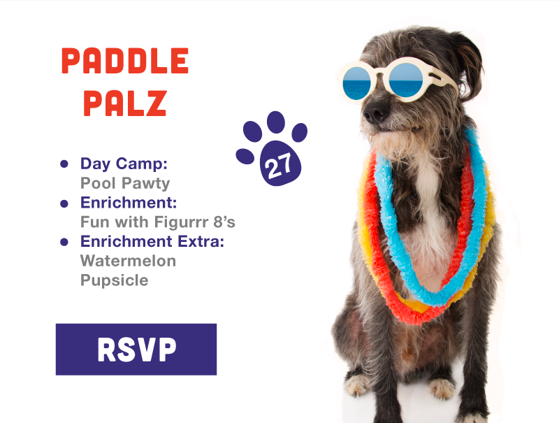 Paddle Palz PawHootz Event