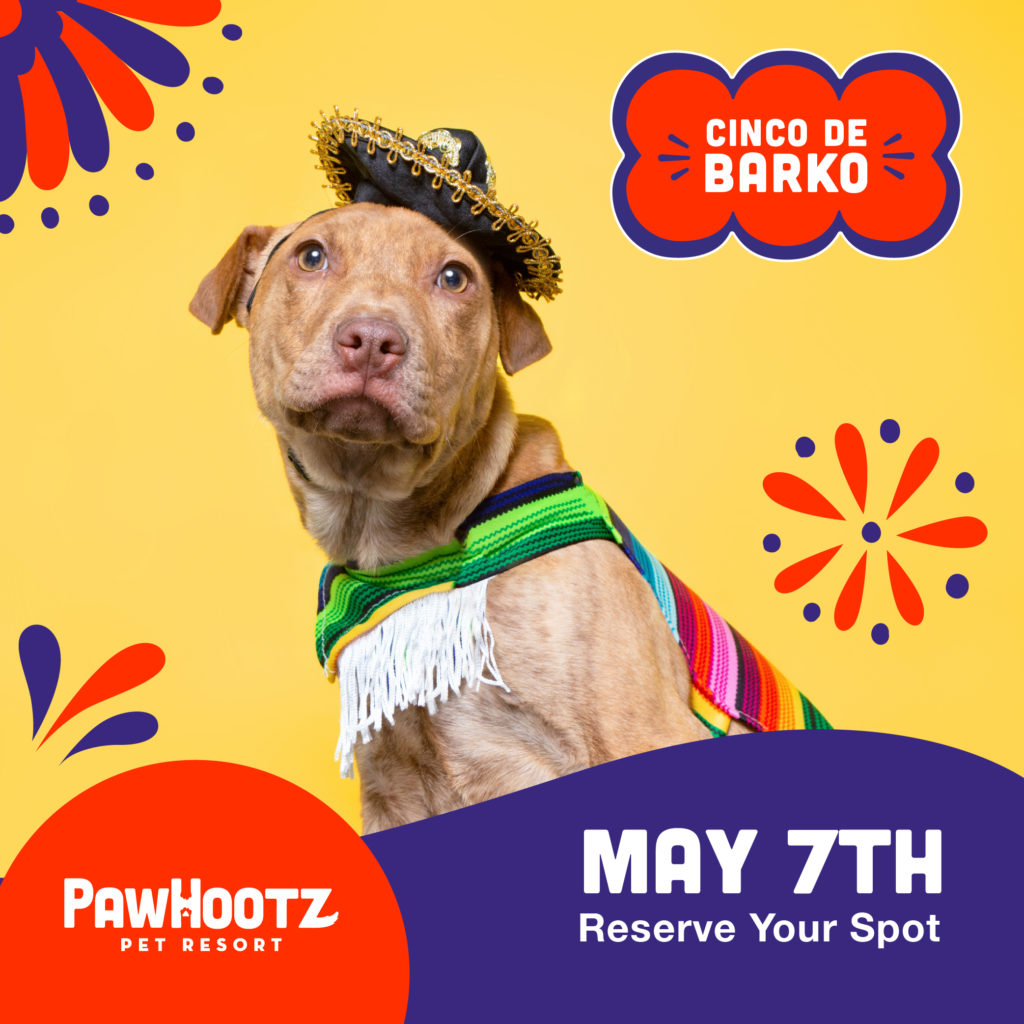 PawHootz Cinco de Barko Celebration