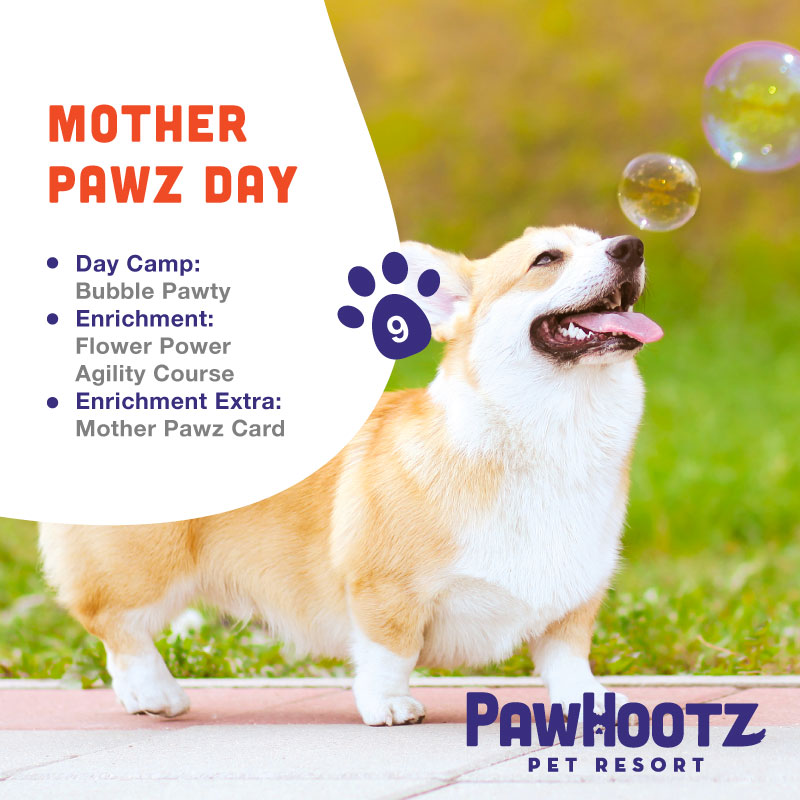 Mother Pawz Day Event