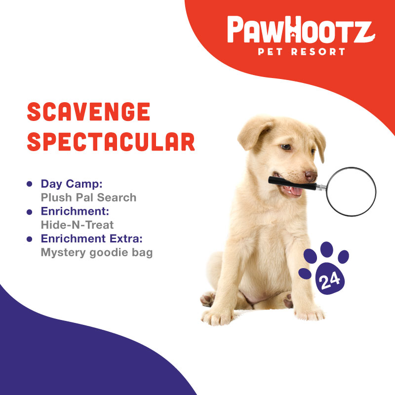 PawHootz | Scavenge Spectacular Event