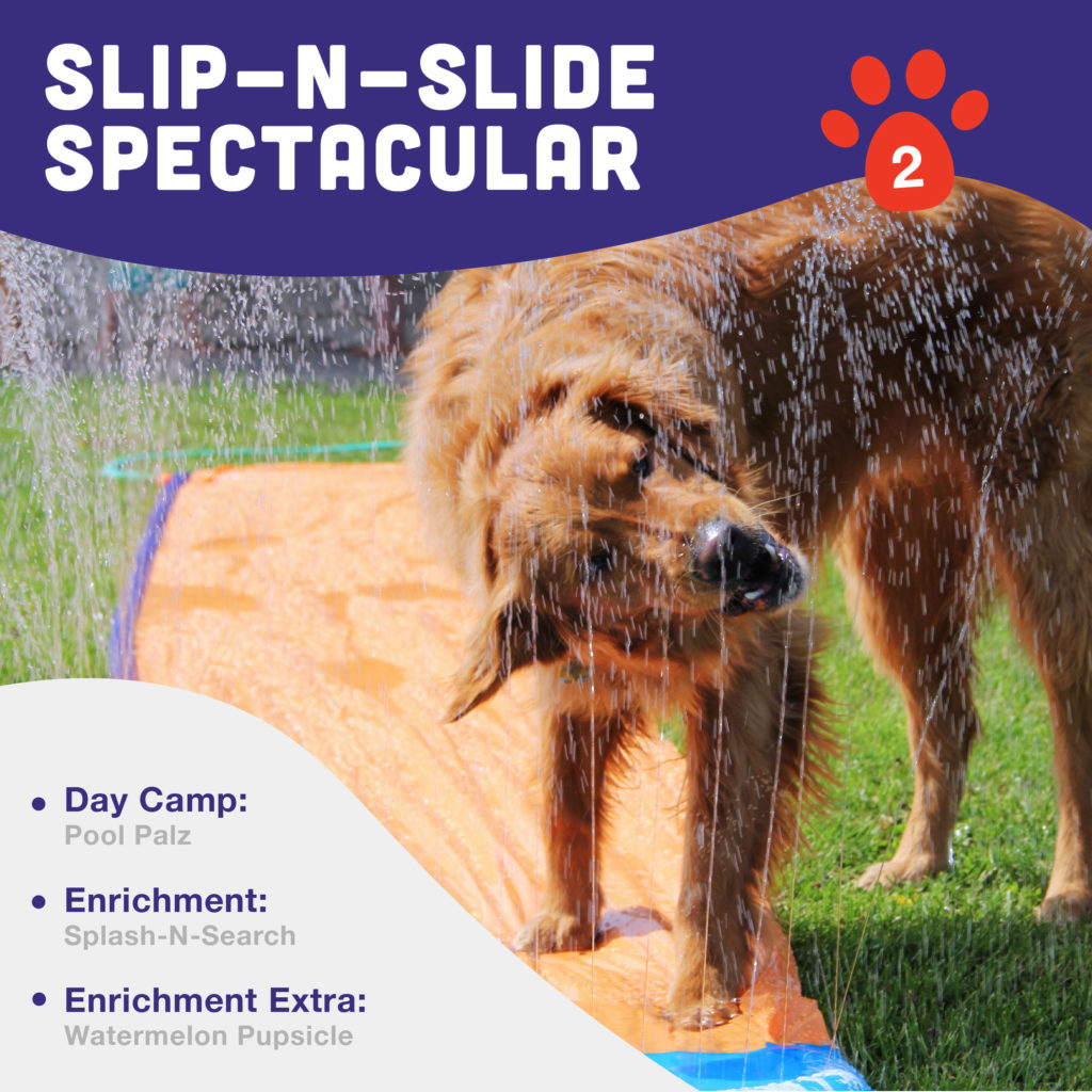 Slip - N - Slide Spectacular Event