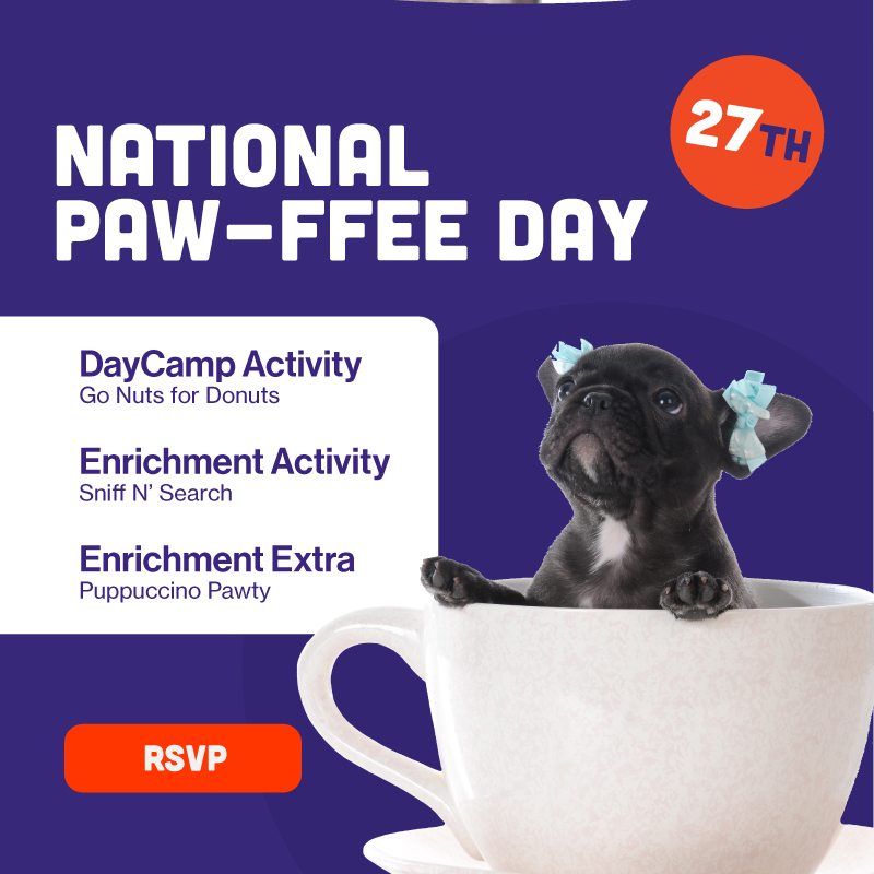 National Paw-FFE DAY