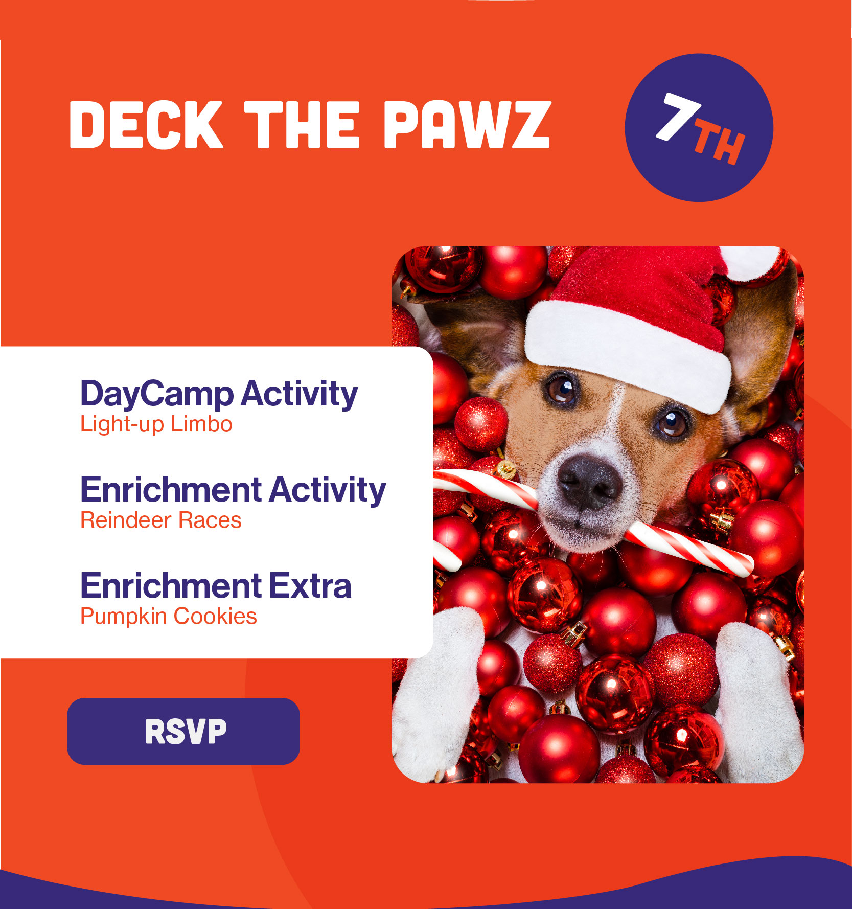 PawHootz Events | Deck The Pawz