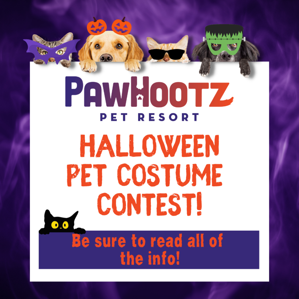 pawhootz costume contest october 2023