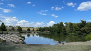 Dog parks in DFW - North Dog Park pond