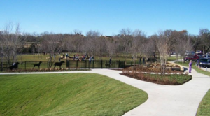 Dog parks in DFW - Wagging Tail dog park path