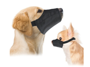 dog training: dogs wearing soft or sleeve muzzles
