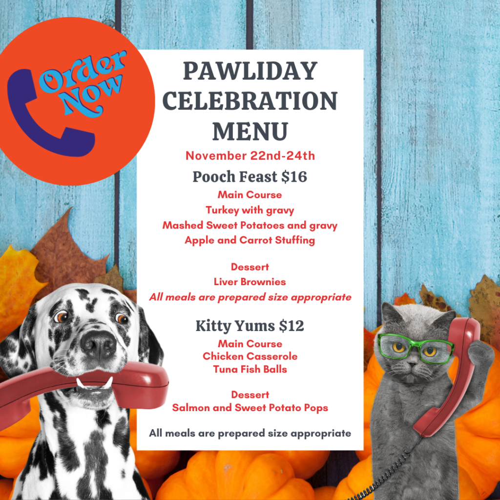 pawliday meal for thanksgiving pet boarding