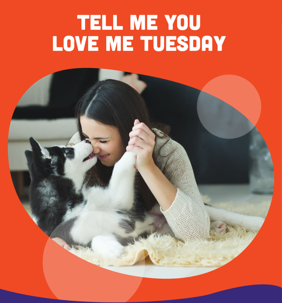 Tell me You love me tuesday event: playing fetch with words of affirmation