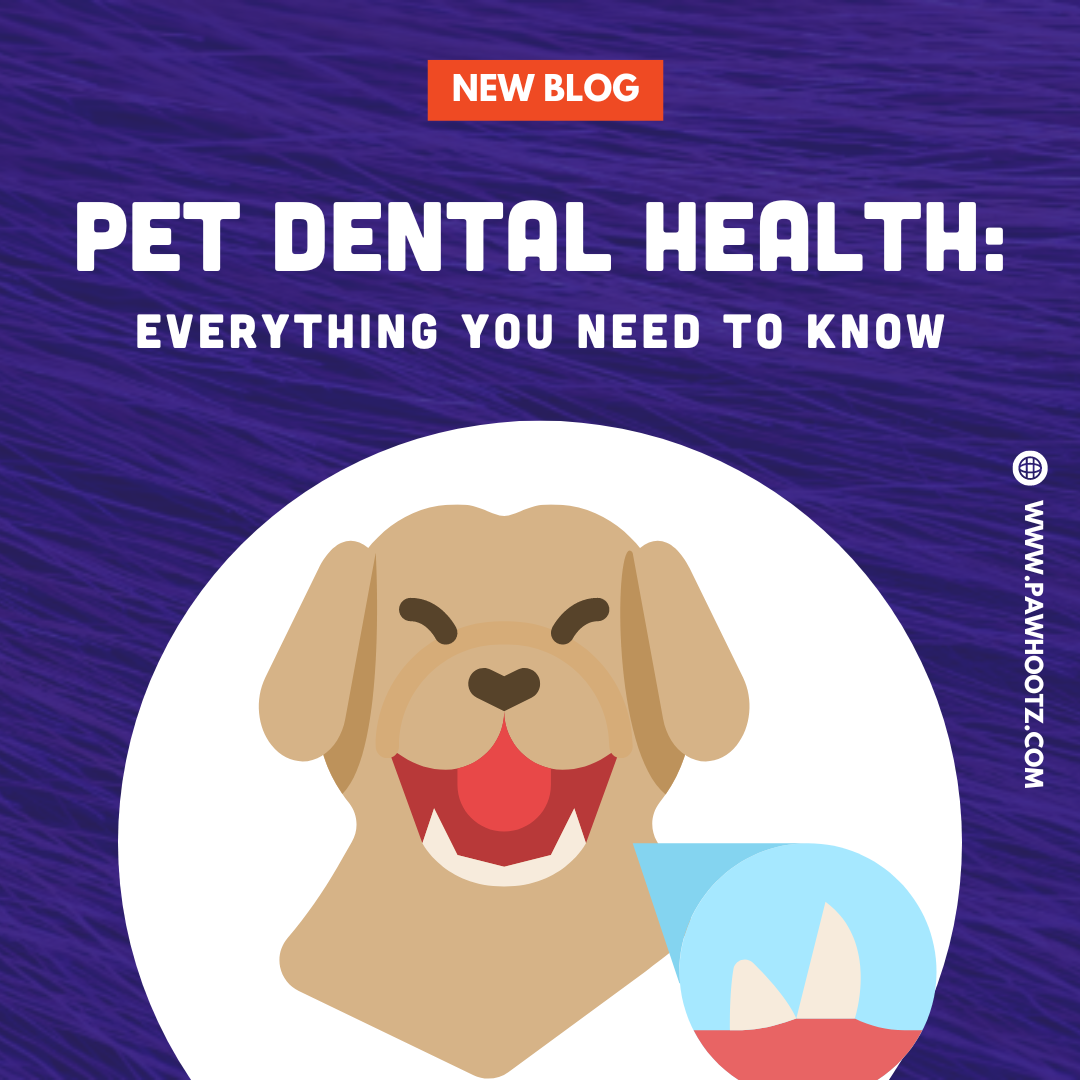 pciture of a cartoon dog and their teeth showing: "New Blog, Pet Dental Health: Evrything You Need To Know".