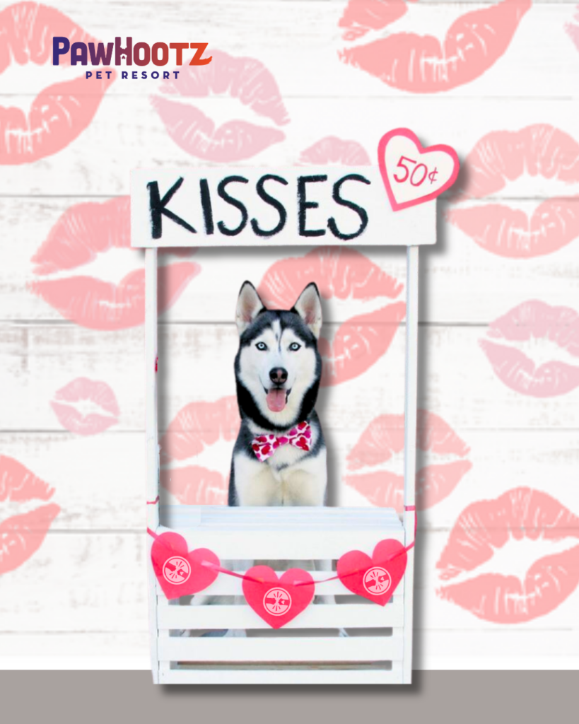smooches & pooches valentine's day photoshoot. Dog behind kissing booth.