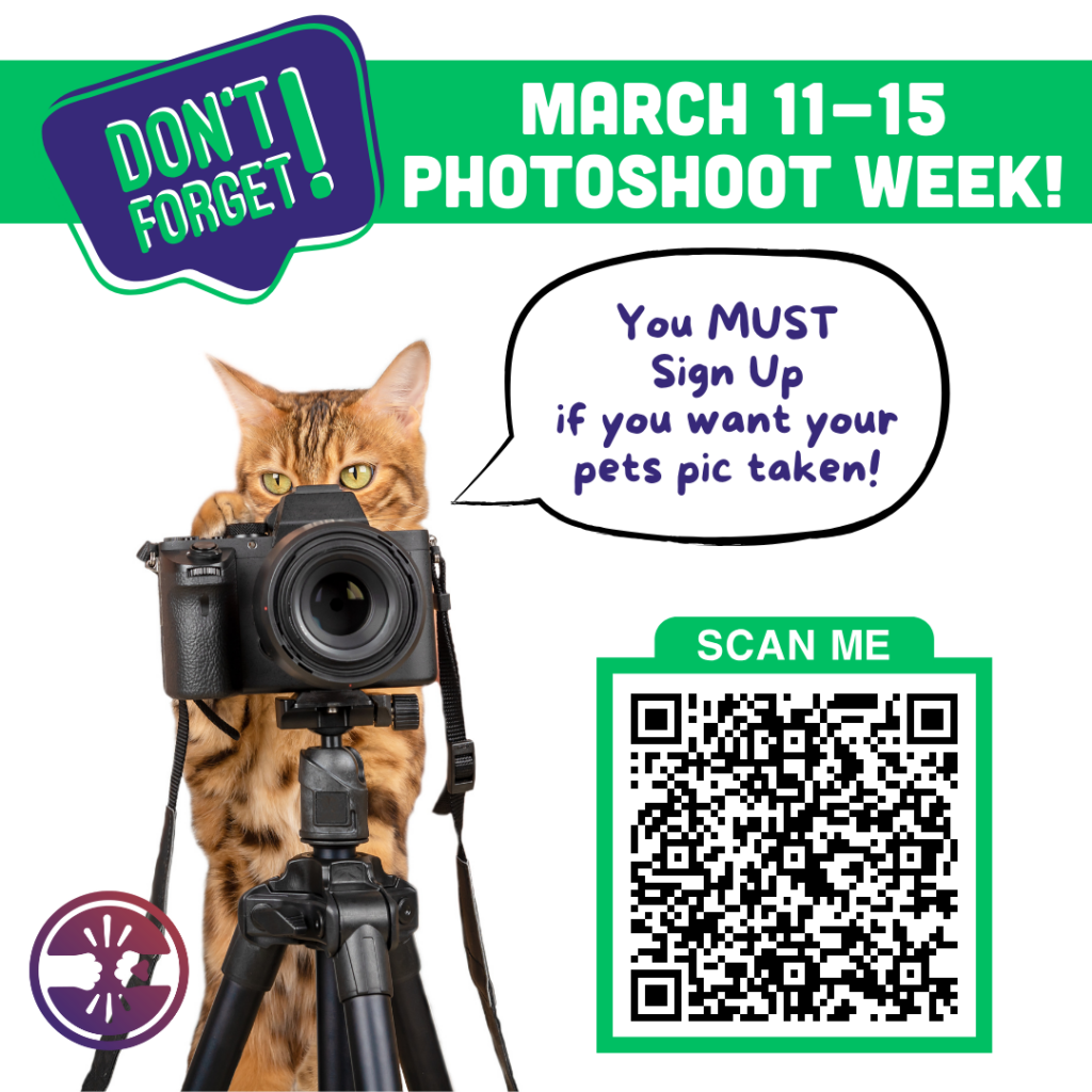 Sharocks & Shakes Phtotshoot & Treat sign up. Cat with a camera image and a QR code.