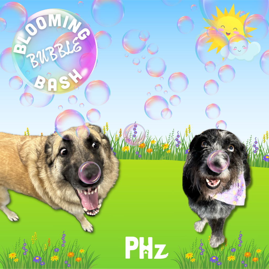 Blooming Bubble Bash: 2 dogs playing with bubbles