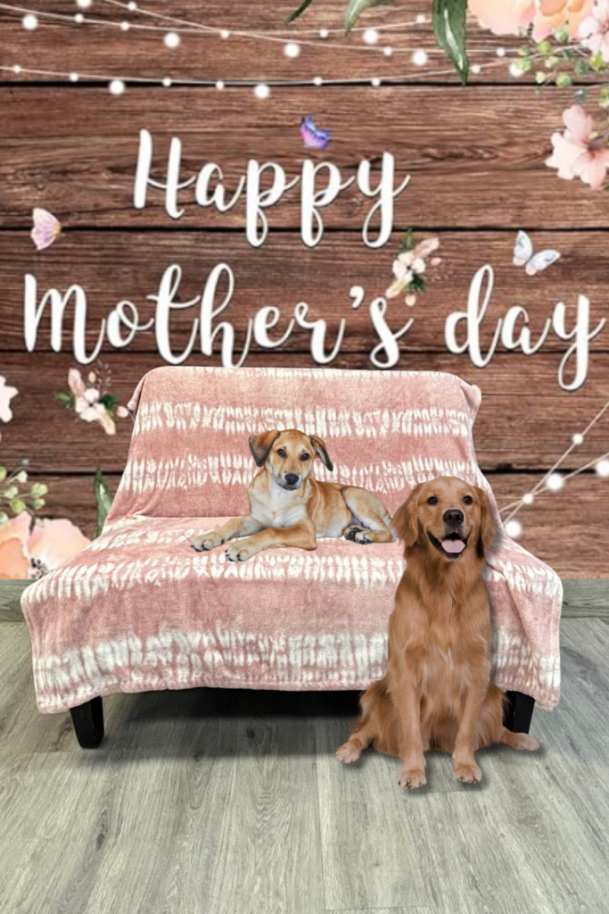 Mother's Day Pet Photoshoot graphic with 2 dogs sitting on & by a pink couch.