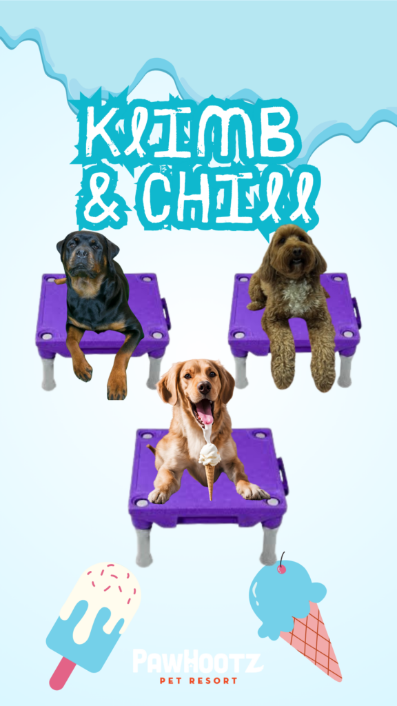 Klimb Up and Chill event: this graphic shows 3 dogs sitting on a Klimb.