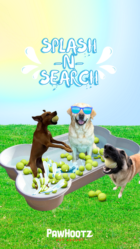 Splash-n-Search: graphic with 3 dogs enjoying a dog pool and dog toys on a sunny day