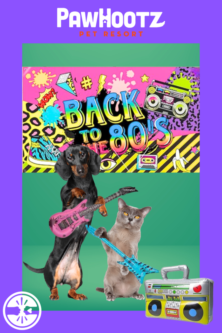 A graphic showing what the 80's Totally Tubular Pet Photoshoot will look like.