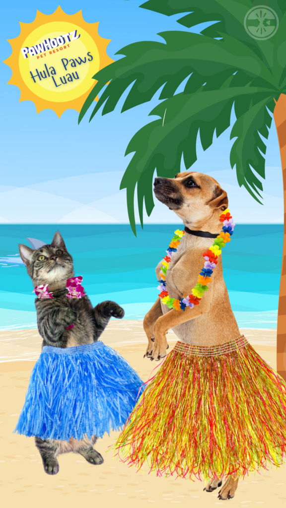 a graphic of a dog and cat wearing hula skirts and flower leis on a beach.