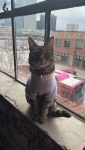 Pal of the Month: Evie