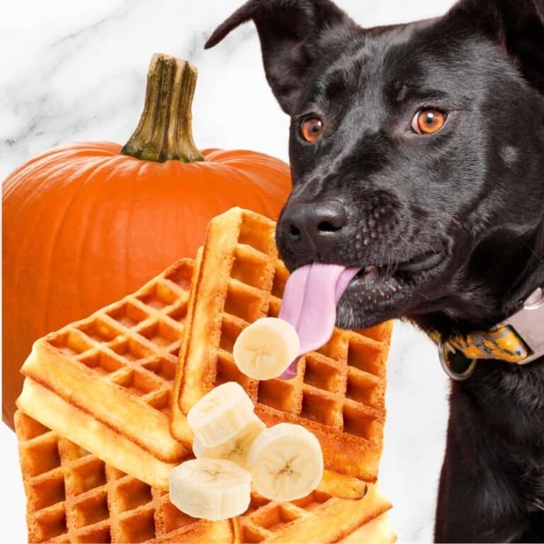 waffles for dogs