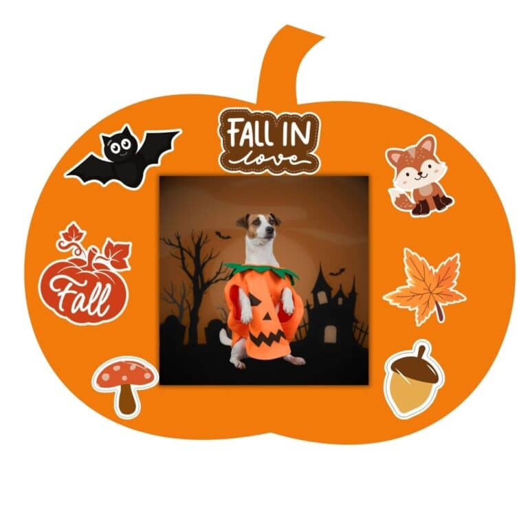Pumpkin Frame shaped photo